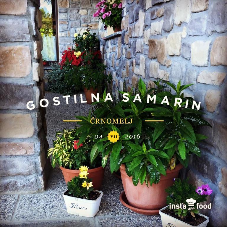 Hotel Samarin Crnomelj Črnomelj Exterior foto